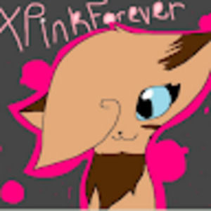 Meet your Posher, Ana michelle